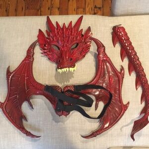 Halloween Dragon 🐉 Costume